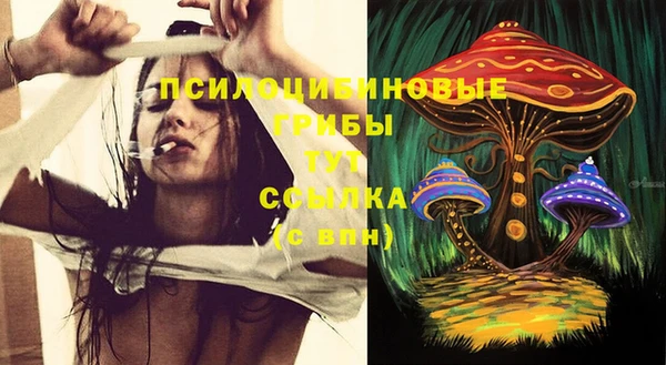 соль ск Белокуриха