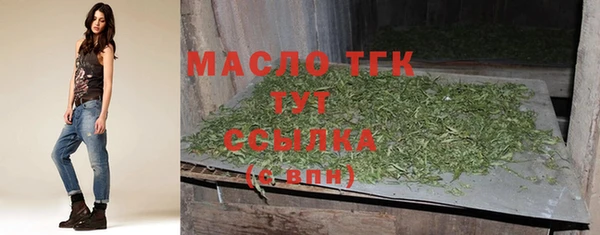 индика Балабаново