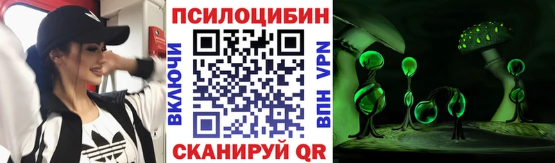 Псилоцибиновые грибы Cubensis  как найти закладки  кракен маркетплейс  Красный Кут 